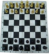 صفحه و مهره شطرنج تن ساز 