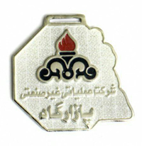 مدال ورزشی کد 317