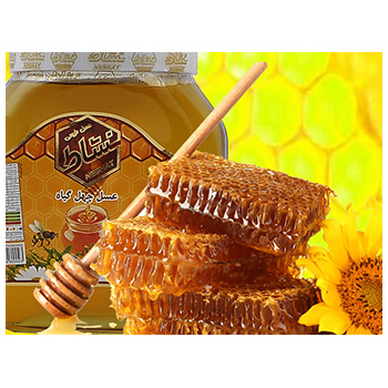 عسل نشاط شیشه 900 گرم