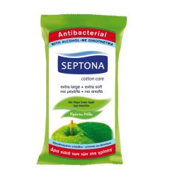 دستمال مرطوب مدل Antibacterial با عصاره سیب سبز  15 عددی سپتونا